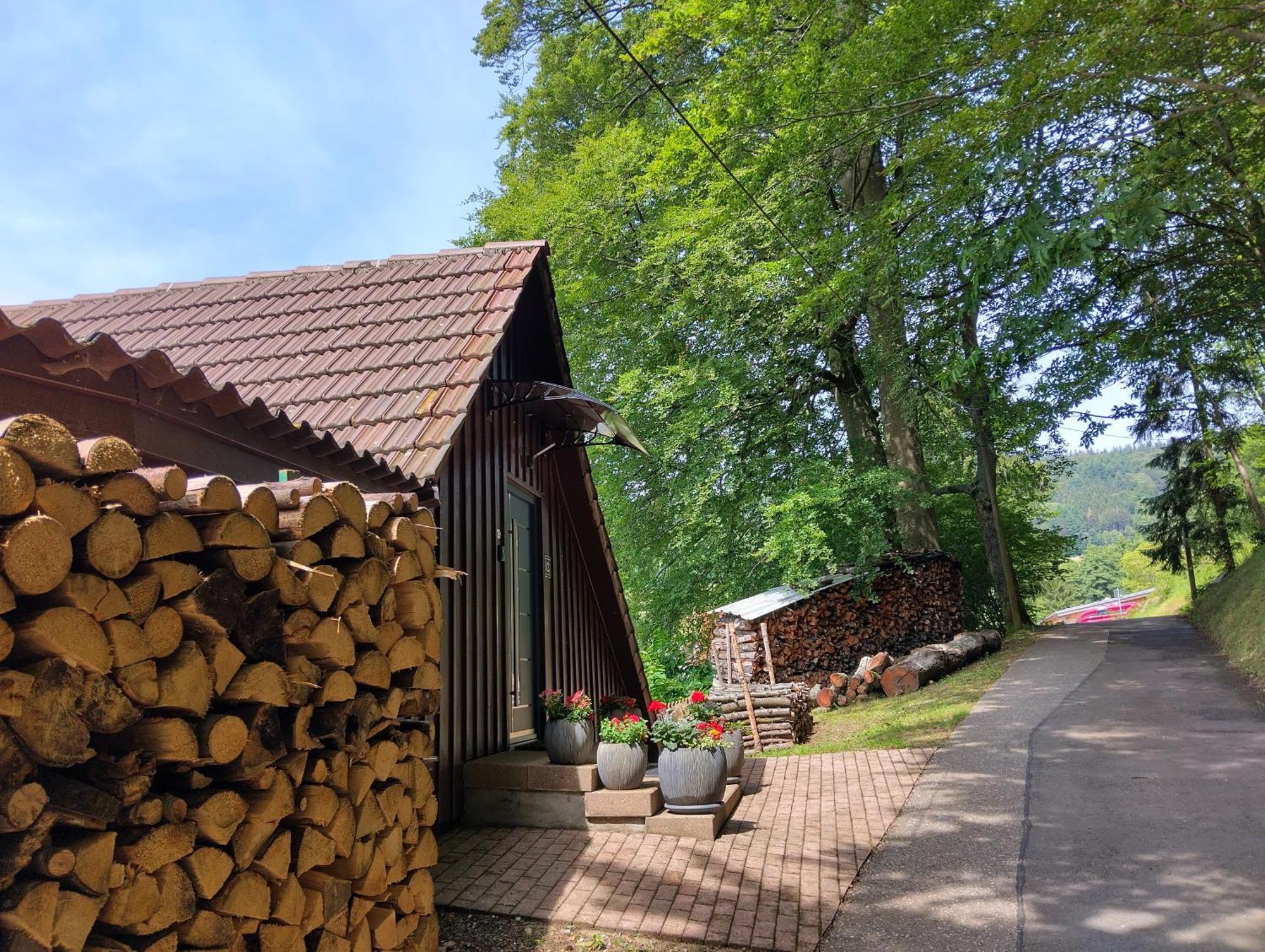 Apartament Haus 